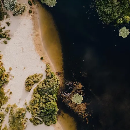 Smile Studio's 赞德沃特